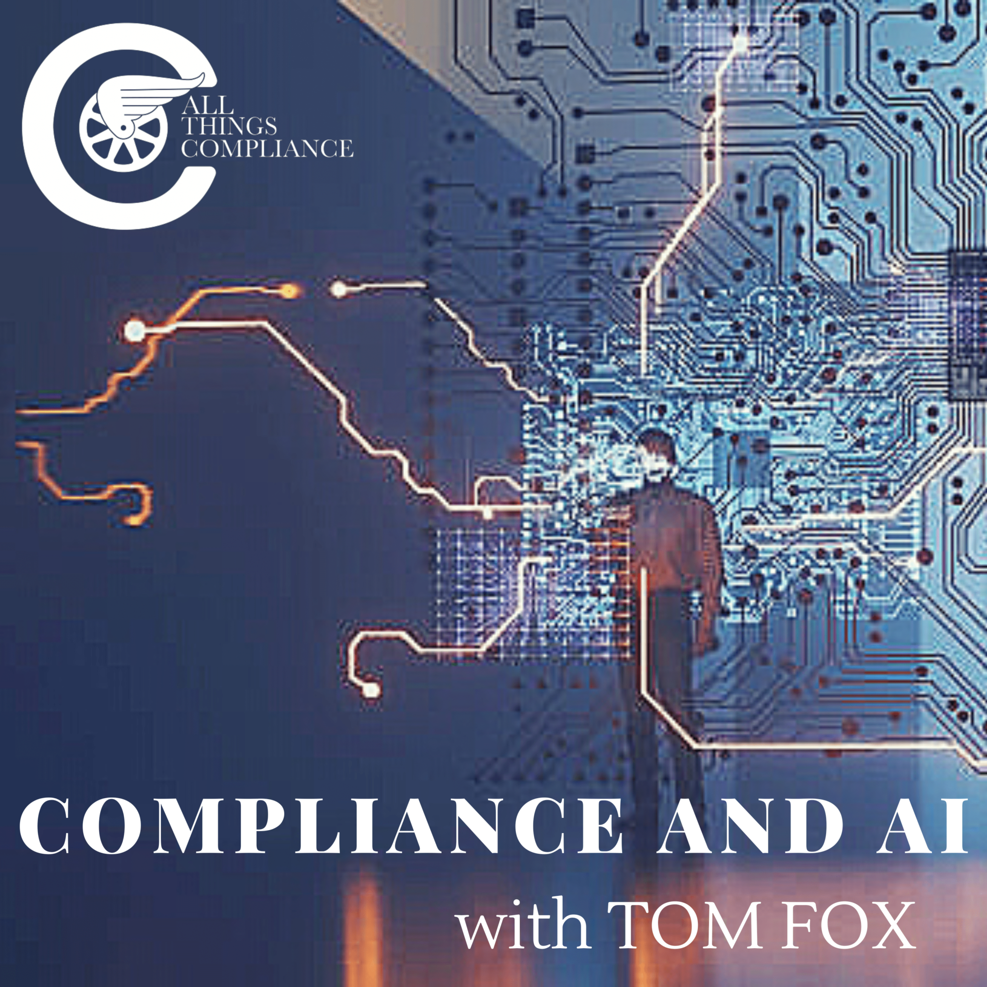 Beautiful view of Compliance AI System Change Implementation